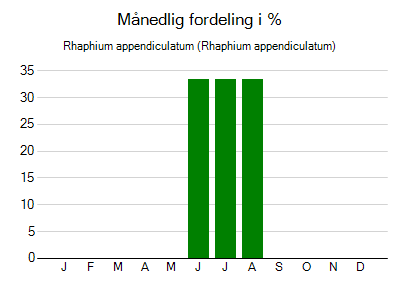 Rhaphium appendiculatum - månedlig fordeling