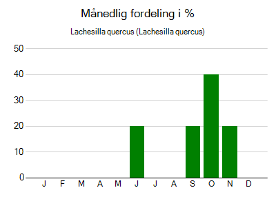 Lachesilla quercus - månedlig fordeling
