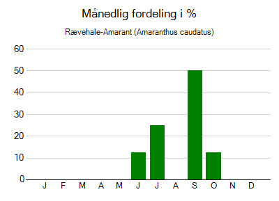 Rævehale-Amarant - månedlig fordeling