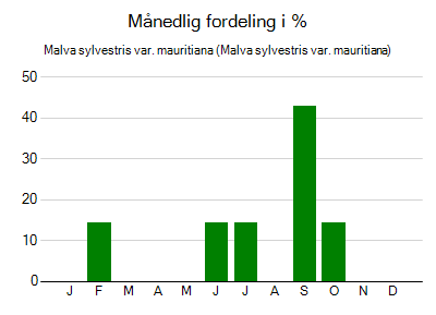 Malva sylvestris var. mauritiana - månedlig fordeling