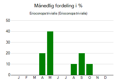 Erioconopa trivialis - månedlig fordeling