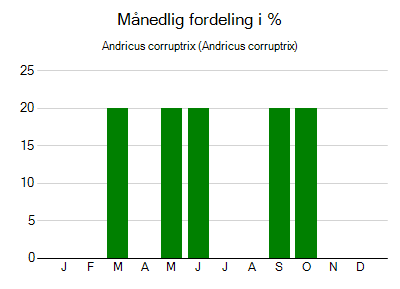 Andricus corruptrix - månedlig fordeling