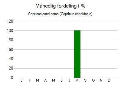 Coprinus candidatus - månedlig fordeling