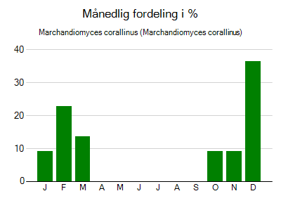 Marchandiomyces corallinus - månedlig fordeling
