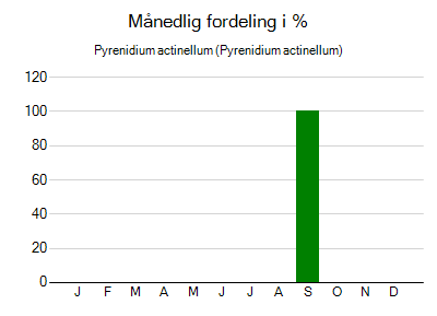 Pyrenidium actinellum - månedlig fordeling