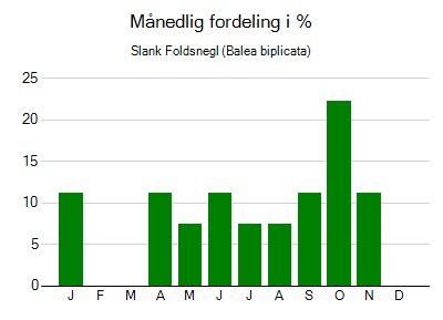 Slank Foldsnegl - månedlig fordeling