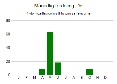 Phytomyza flavicornis - månedlig fordeling