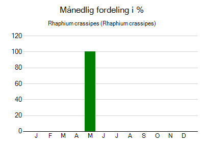 Rhaphium crassipes - månedlig fordeling