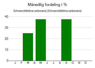 Schwenckfeldina carbonaria - månedlig fordeling