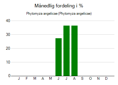 Phytomyza angelicae - månedlig fordeling