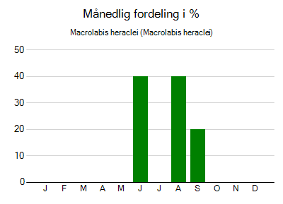 Macrolabis heraclei - månedlig fordeling