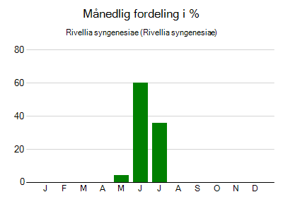 Rivellia syngenesiae - månedlig fordeling