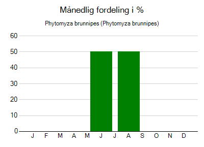 Phytomyza brunnipes - månedlig fordeling
