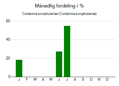 Contarinia scrophulariae - månedlig fordeling