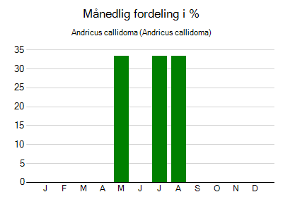 Andricus callidoma - månedlig fordeling