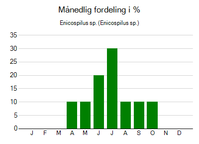 Enicospilus sp. - månedlig fordeling