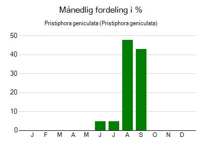 Pristiphora geniculata - månedlig fordeling