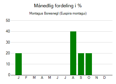 Montagus Boresnegl - månedlig fordeling