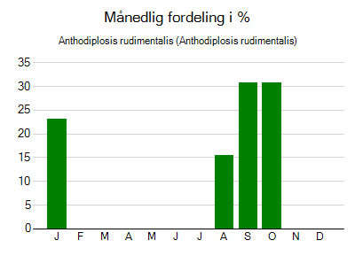 Anthodiplosis rudimentalis - månedlig fordeling