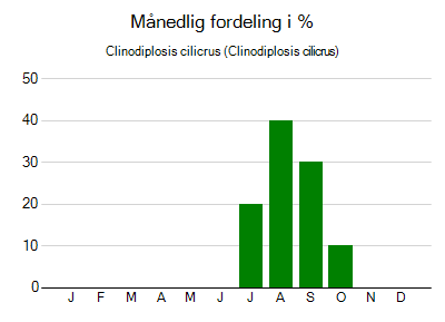 Clinodiplosis cilicrus - månedlig fordeling