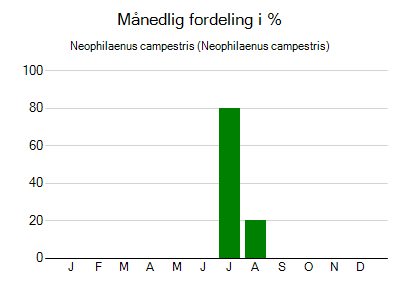 Neophilaenus campestris - månedlig fordeling