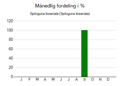Spilogona biseriata - månedlig fordeling