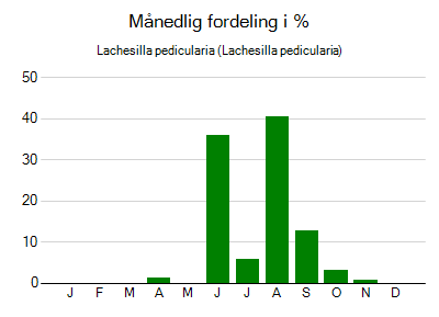 Lachesilla pedicularia - månedlig fordeling