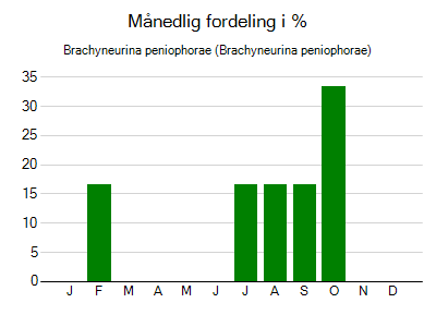 Brachyneurina peniophorae - månedlig fordeling