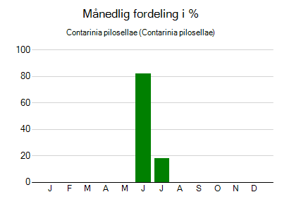 Contarinia pilosellae - månedlig fordeling