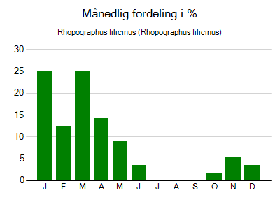 Rhopographus filicinus - månedlig fordeling