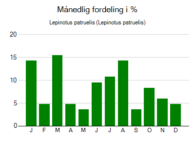 Lepinotus patruelis - månedlig fordeling