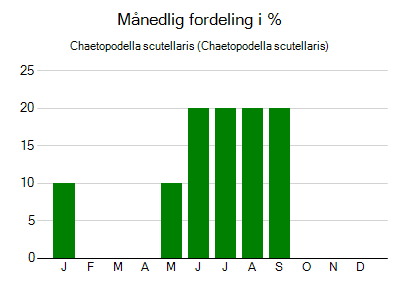 Chaetopodella scutellaris - månedlig fordeling