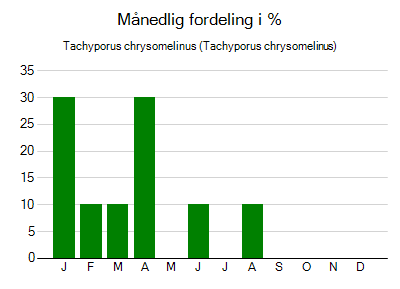 Tachyporus chrysomelinus - månedlig fordeling