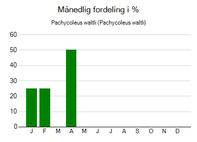 Pachycoleus waltli - månedlig fordeling