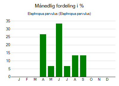 Elaphropus parvulus - månedlig fordeling