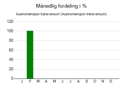 Austromenopon transversum - månedlig fordeling