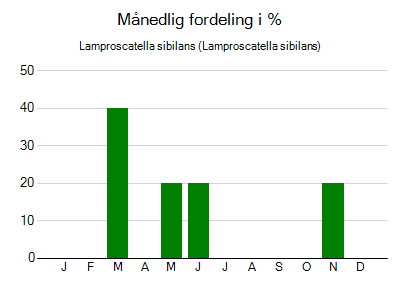 Lamproscatella sibilans - månedlig fordeling