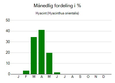 Hyacint - månedlig fordeling