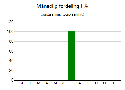 Corixa affinis - månedlig fordeling