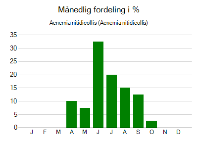 Acnemia nitidicollis - månedlig fordeling