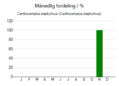 Canthocamptus staphylinus - månedlig fordeling
