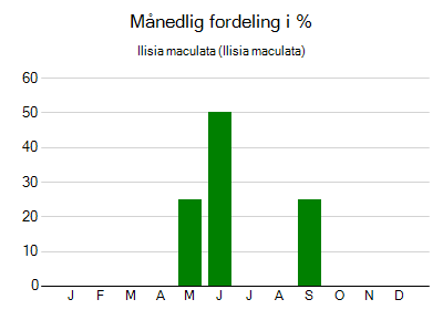 Ilisia maculata - månedlig fordeling