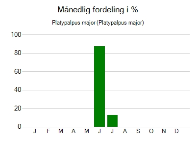 Platypalpus major - månedlig fordeling