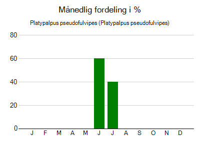 Platypalpus pseudofulvipes - månedlig fordeling
