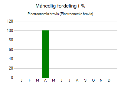 Plectrocnemia brevis - månedlig fordeling
