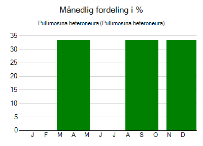 Pullimosina heteroneura - månedlig fordeling