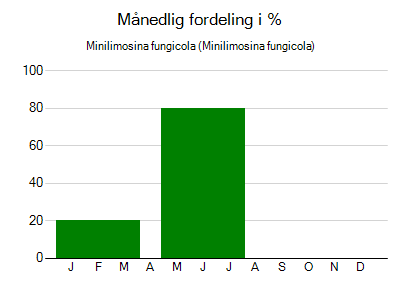 Minilimosina fungicola - månedlig fordeling