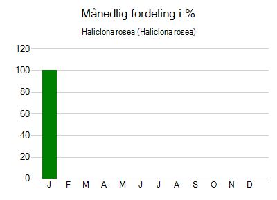 Haliclona rosea - månedlig fordeling