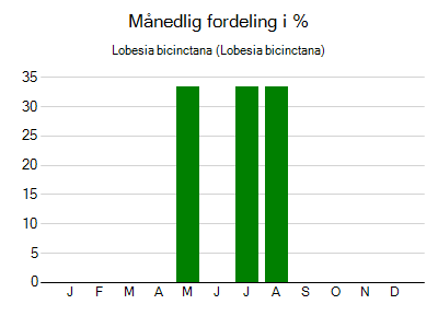 Lobesia bicinctana - månedlig fordeling
