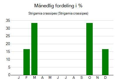 Strigamia crassipes - månedlig fordeling